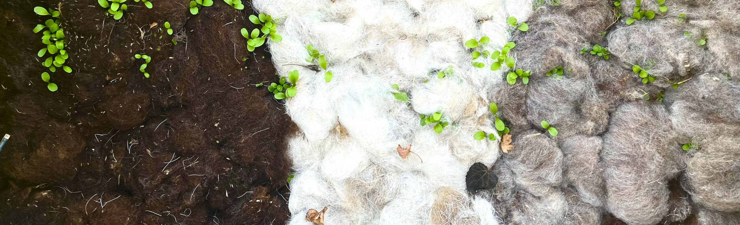 compost